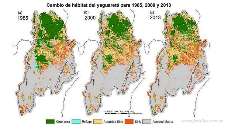 Greenpeace denuncia que la Sociedad Rural presiona al gobierno de Salta por más desmontes