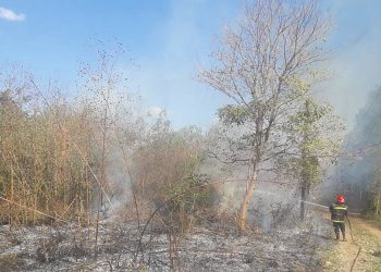 Tartagal: “Tenemos un promedio de dos incendios por día”