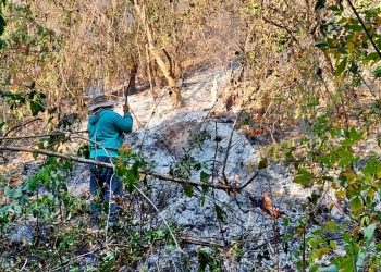 Piquirenda: trabajo conjunto de bomberos de Aguaray y Tartagal salvó viviendas de la comunidad