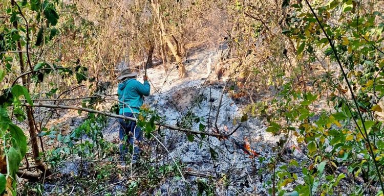 Piquirenda: trabajo conjunto de bomberos de Aguaray y Tartagal salvó viviendas de la comunidad