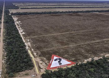 Chaco salteño: Greenpeace denuncia con manifestación pública al empresario agropecuario Karlen