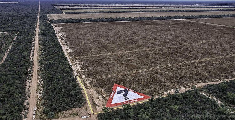 Chaco salteño: Greenpeace denuncia con manifestación pública al empresario agropecuario Karlen