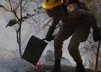 Tartagal: jornada de actualización en protocolo de actuación ante incendios forestales