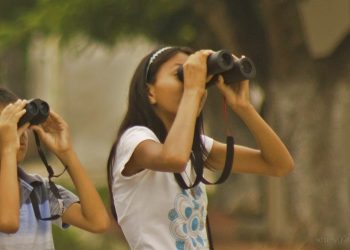 Vacaciones de Invierno: observación de aves para niños