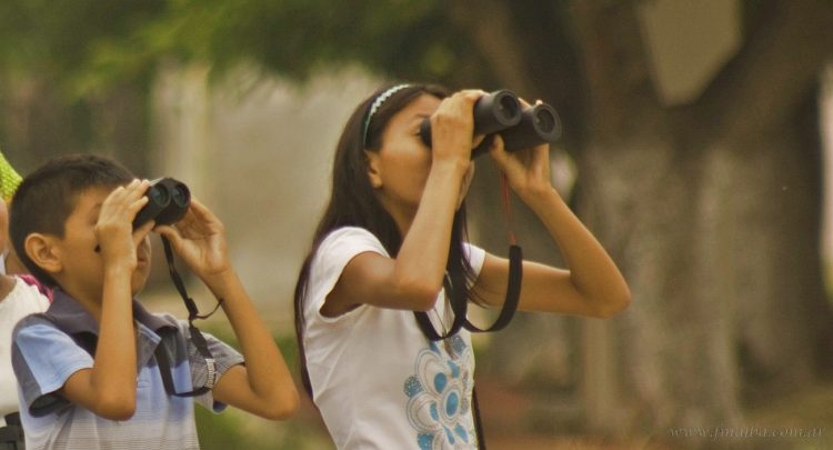 Vacaciones de Invierno: observación de aves para niños