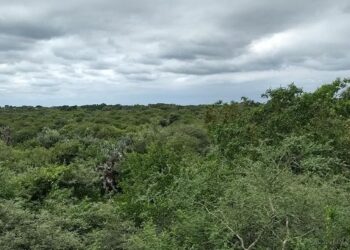 Finca “El Triángulo”: convocan a una audiencia pública para aprobar cambio de uso de suelo