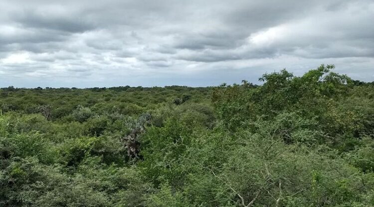 Finca “El Triángulo”: convocan a una audiencia pública para aprobar cambio de uso de suelo