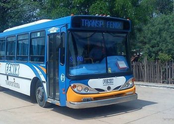 Servicio Interurbano: AMT concede a empresa Fénix corredores en tres departamentos