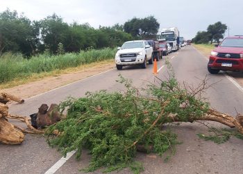 Cortes de ruta: instan a radicar denuncias para que la justicia accione