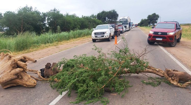 Cortes de ruta: instan a radicar denuncias para que la justicia accione