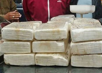 Narcotráfico: incautan un centenar de droga en Bermejo, prestos a ingresar a la Argentina