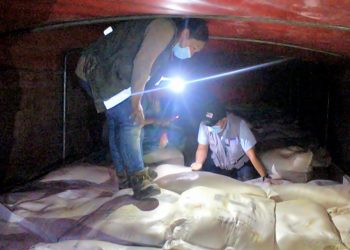 Tarija: detienen dos camiones con 60 toneladas de soja en contrabando