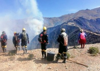 Internacionales: incendios en Tarija, cercanos a la frontera con Argentina, controlados