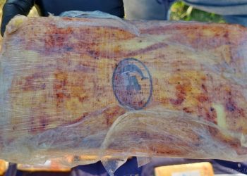 Narcotráfico: pareja de santiagueños detenidos con drogas de banda transnacional