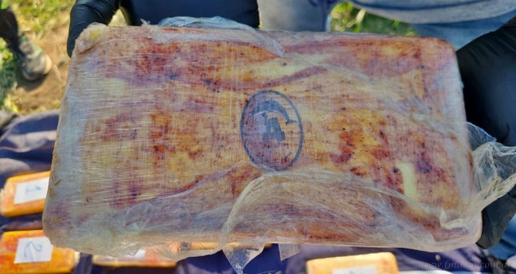 Narcotráfico: pareja de santiagueños detenidos con drogas de banda transnacional