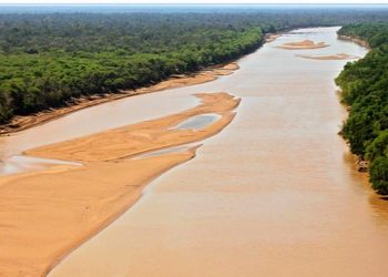 Internacionales: identifican al bagayero argentino fallecido en territorio boliviano