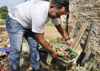 Dengue: la localidad boliviana Bermejo ya supera los 50 casos