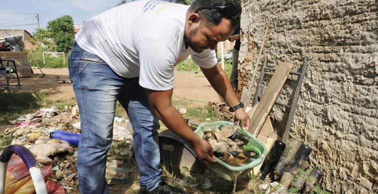 Dengue: la localidad boliviana Bermejo ya supera los 50 casos
