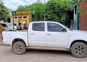 Internacionales: retornan vehículos robados en Argentina