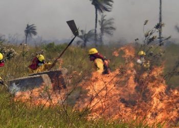 Medio Ambiente: Bolivia abre 15 procesos penales por incendios forestales intencionales
