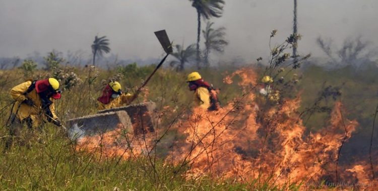 Medio Ambiente: Bolivia abre 15 procesos penales por incendios forestales intencionales