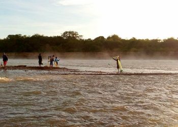 Rio Pilcomayo: alarma por la desaparición del sábalo y posible extensión de veda a tres años