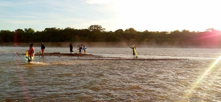 Rio Pilcomayo: alarma por la desaparición del sábalo y posible extensión de veda a tres años
