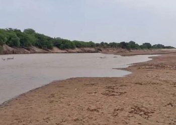 Internacionales: Villa Montes aprueba ley que declara desastre en el Pilcomayo por sequía