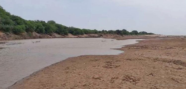 Internacionales: Villa Montes aprueba ley que declara desastre en el Pilcomayo por sequía