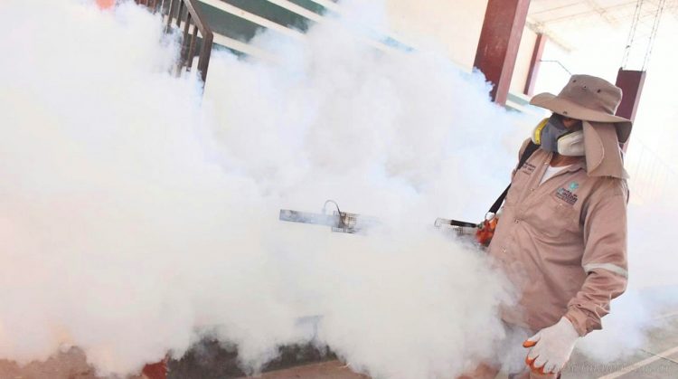 Salud: Yacuiba confirma 22 positivos de dengue y más de 90 sospechosos
