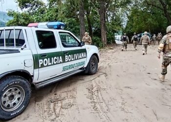 Bermejo: operativos contra el contrabando en frontera Bolivia-Argentina