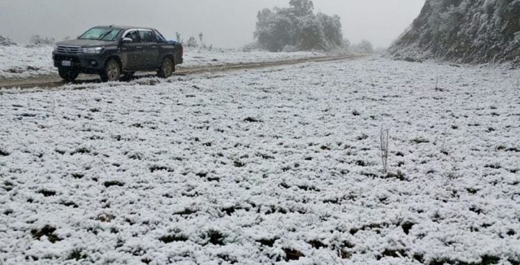 Marcas por debajo de lo normal caracterizan a la semana más fría del mes