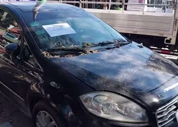 Yacuiba: en el millonario robo a librecambista usaron auto hurtado en Argentina