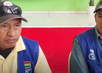 Internacionales: arancel cero para la harina argentina moviliza al mercado boliviano