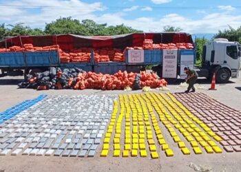 Narcotráfico: proveedor del Clan Brizuela será extraditado de Bolivia a la Argentina