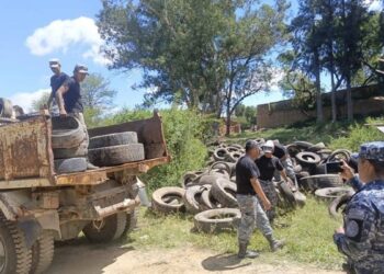 Chikungunya: Tarija reporta 183 casos más en una semana, superando los 500 positivos en lo que va del año