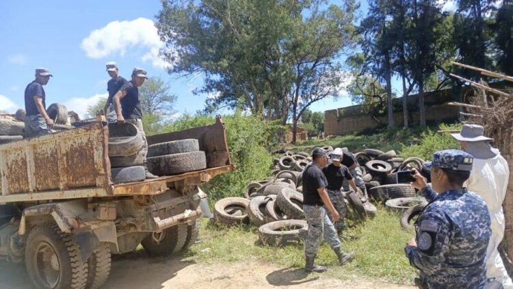 Chikungunya: Tarija reporta 183 casos más en una semana, superando los 500 positivos en lo que va del año
