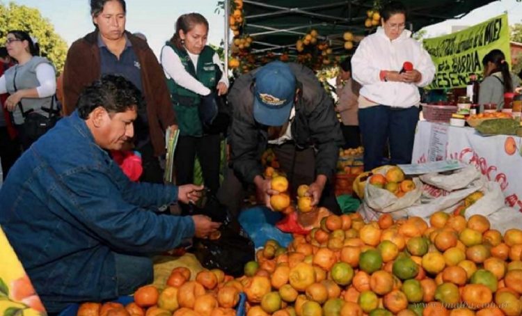 Internacionales: encuentro binacional para busca fomentar cultivos, este 8 de Diciembre