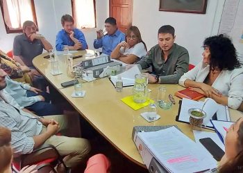 Carta Orgánica Municipal: concejales y vecinos debatieron sobre una posible reforma