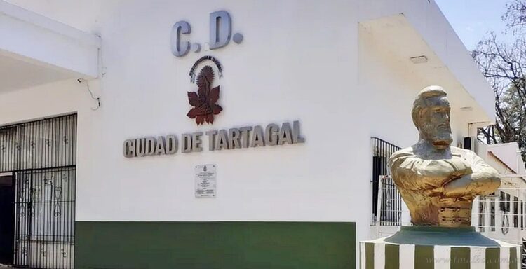 Concejo Deliberante Tartagal: aprobaron adhesiones a leyes de emergencia, aumento para taxis y remises y el monotributo municipal