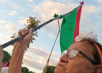 Tartagal: el Ejecutivo vetó la incorporación de la bandera guaraní en el ámbito educativo