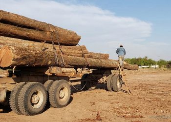 Finca Pocoy: llamado a audiencia pública para el 15 de diciembre