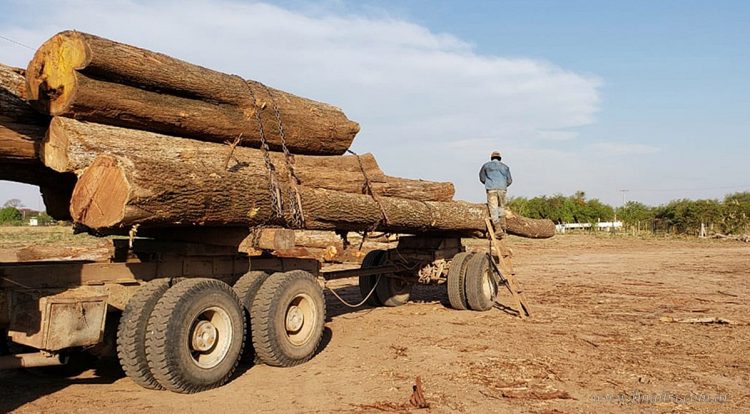 Finca Pocoy: llamado a audiencia pública para el 15 de diciembre