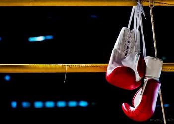 Cámara de Diputados: legisladores aprobaron otorgar beneficios a boxeadores salteños