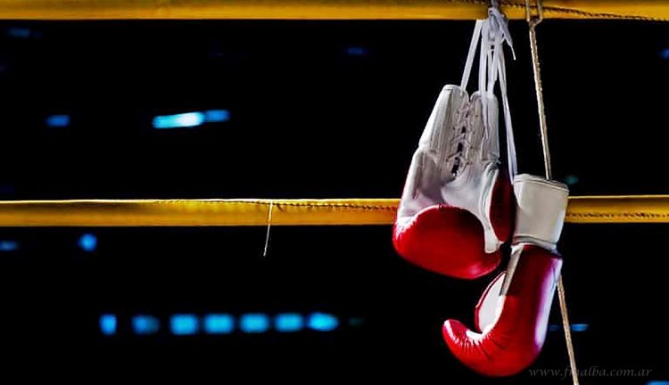 Cámara de Diputados: legisladores aprobaron otorgar beneficios a boxeadores salteños