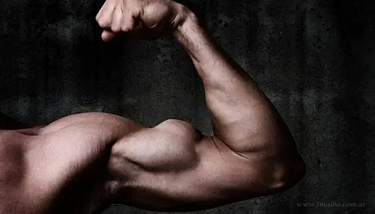 Deportes: Tartagal, sede clasificatoria para el Mr. Olympia Amateur Southamerica 2022