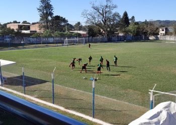 Torneo Regional Federal Amateur 2023: clasificó Sportivo Pocitos