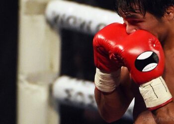 Deportes: es oficial la conformación de integrantes de la Comisión de Boxeo