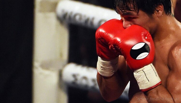 Deportes: es oficial la conformación de integrantes de la Comisión de Boxeo