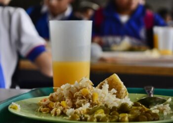 Diputados Salta: se quitó del temario el proyecto de ley de control bromatológico en escuelas